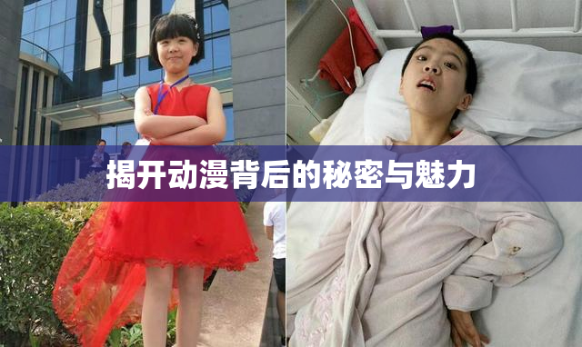 揭开动漫背后的秘密与魅力