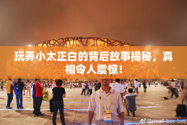 玩弄小太正白的背后故事揭秘，真相令人震惊！