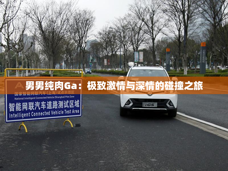 男男纯肉Ga：极致激情与深情的碰撞之旅