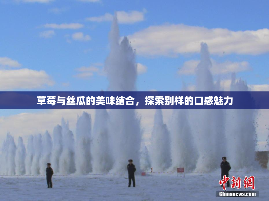 草莓与丝瓜的美味结合，探索别样的口感魅力