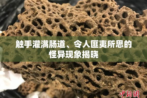 触手灌满肠道、令人匪夷所思的怪异现象揭晓
