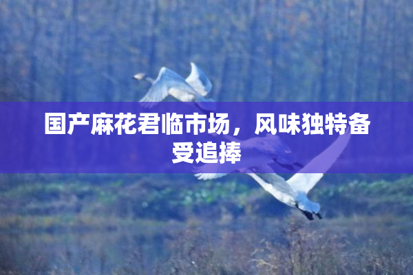 国产麻花君临市场，风味独特备受追捧