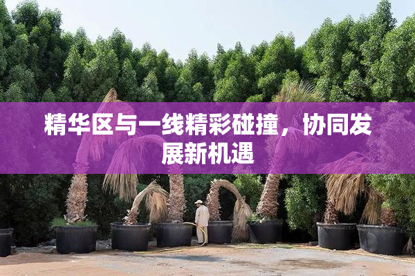 精华区与一线精彩碰撞，协同发展新机遇