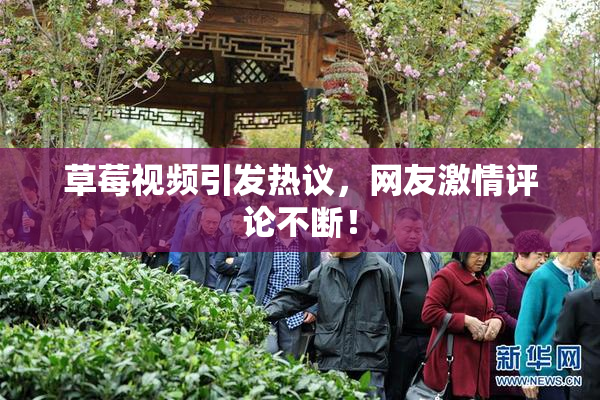 草莓视频引发热议，网友激情评论不断！