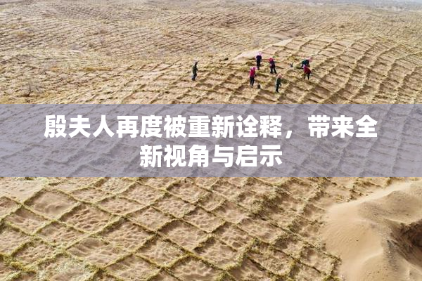 殷夫人再度被重新诠释，带来全新视角与启示