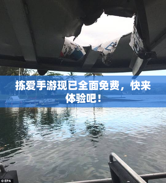 拣爱手游现已全面免费，快来体验吧！