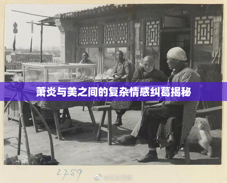 萧炎与美之间的复杂情感纠葛揭秘
