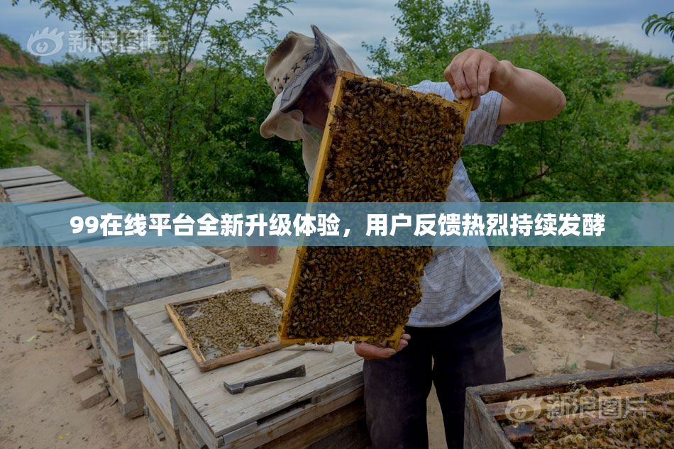 99在线平台全新升级体验，用户反馈热烈持续发酵
