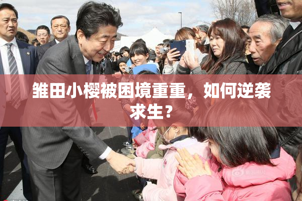 雏田小樱被困境重重，如何逆袭求生？
