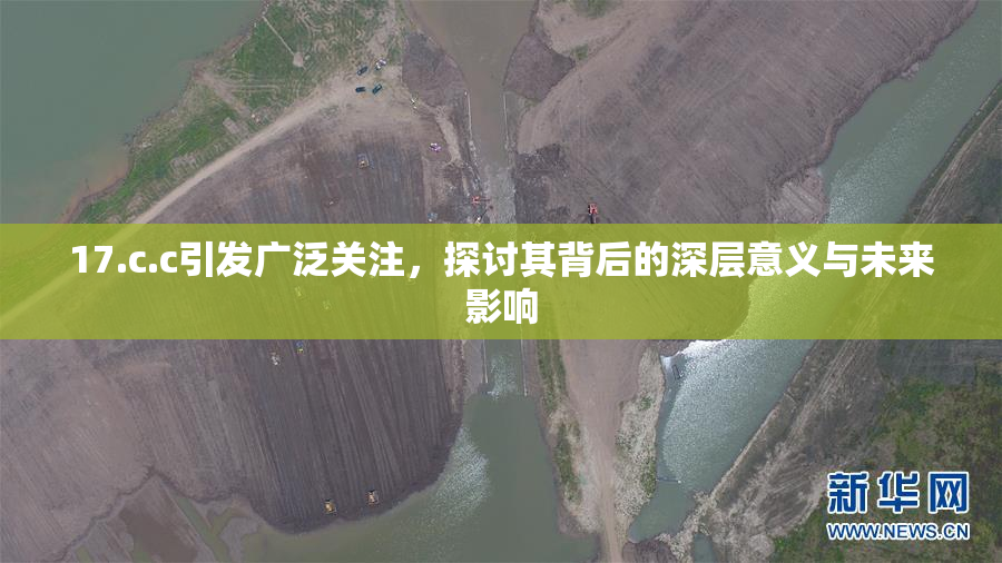 17.c.c引发广泛关注，探讨其背后的深层意义与未来影响