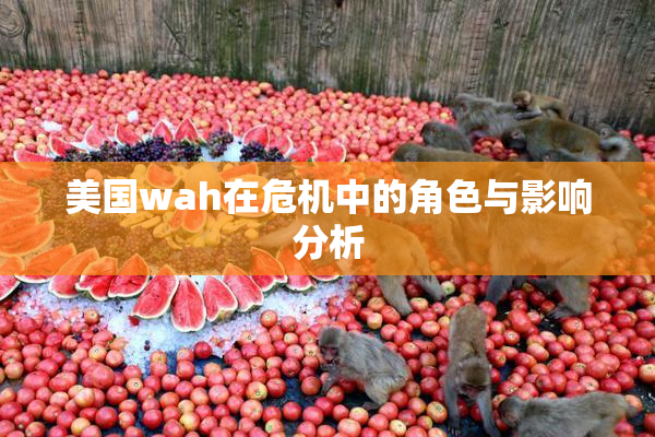 美国wah在危机中的角色与影响分析