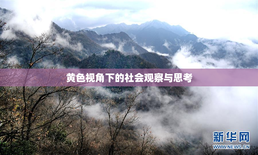 黄色视角下的社会观察与思考