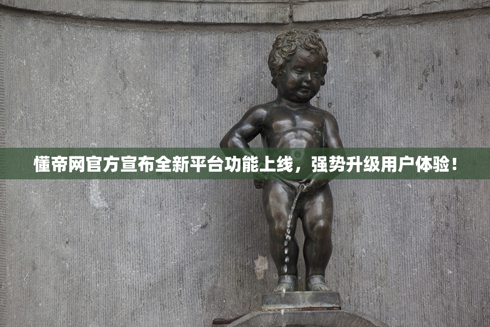 懂帝网官方宣布全新平台功能上线，强势升级用户体验！