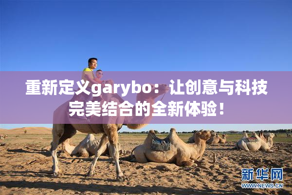 重新定义garybo：让创意与科技完美结合的全新体验！