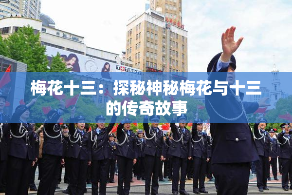 梅花十三：探秘神秘梅花与十三的传奇故事