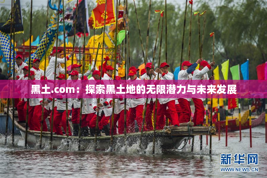 黑土.com：探索黑土地的无限潜力与未来发展