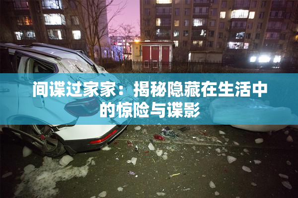 间谍过家家：揭秘隐藏在生活中的惊险与谍影
