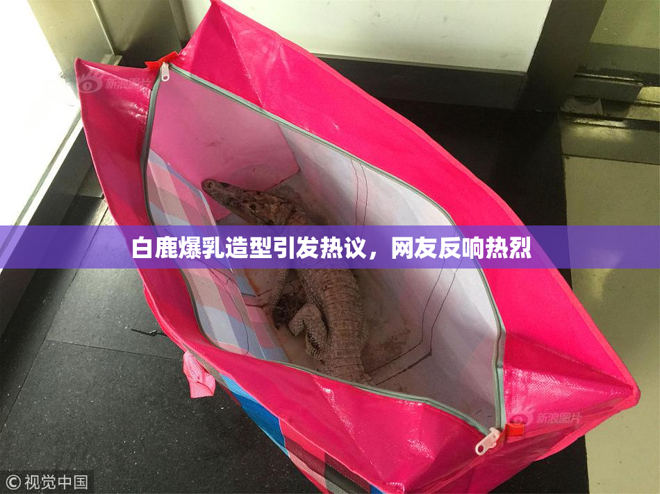 白鹿爆乳造型引发热议，网友反响热烈