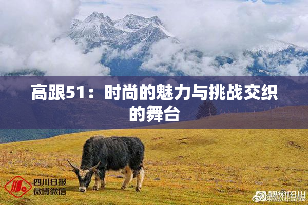 高跟51：时尚的魅力与挑战交织的舞台