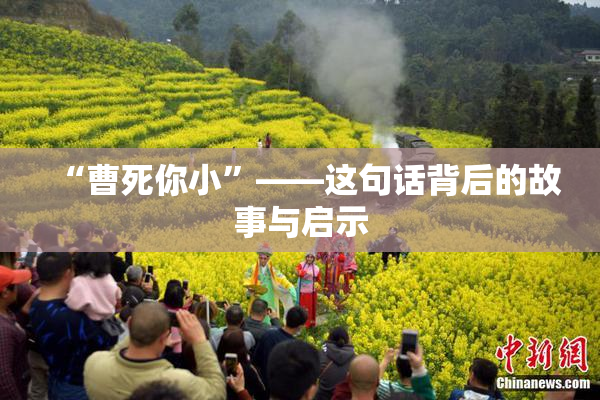 “曹死你小”——这句话背后的故事与启示