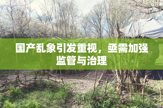 国产乱象引发重视，亟需加强监管与治理