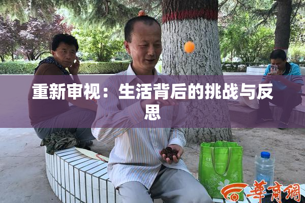 重新审视：生活背后的挑战与反思