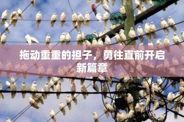 拖动重重的担子，勇往直前开启新篇章