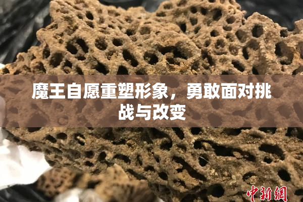 魔王自愿重塑形象，勇敢面对挑战与改变