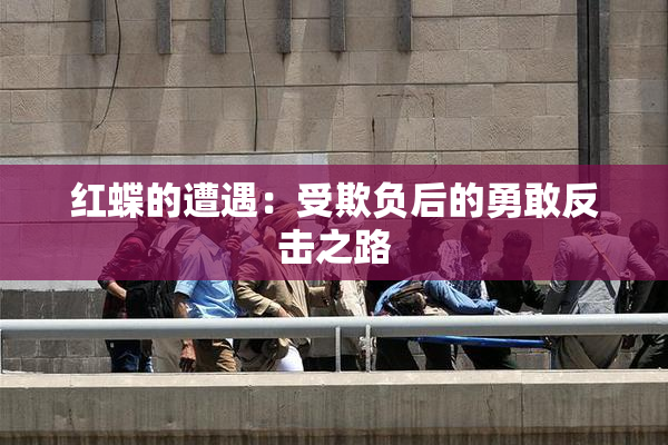 红蝶的遭遇：受欺负后的勇敢反击之路
