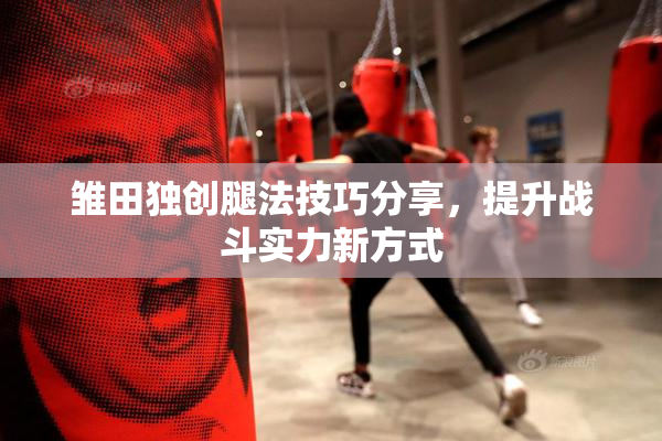 雏田独创腿法技巧分享，提升战斗实力新方式