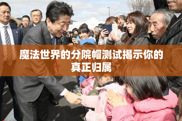 魔法世界的分院帽测试揭示你的真正归属