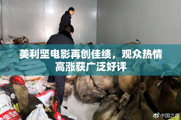 美利坚电影再创佳绩，观众热情高涨获广泛好评