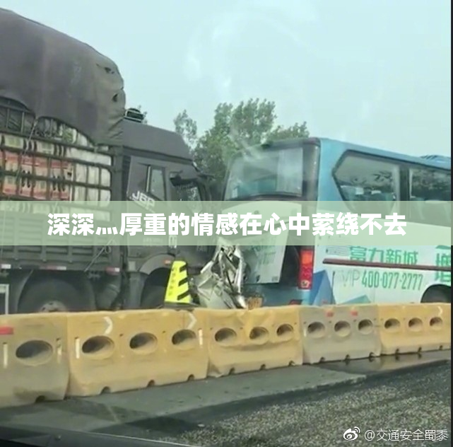 深深灬厚重的情感在心中萦绕不去