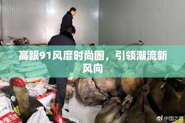 高跟91风靡时尚圈，引领潮流新风向
