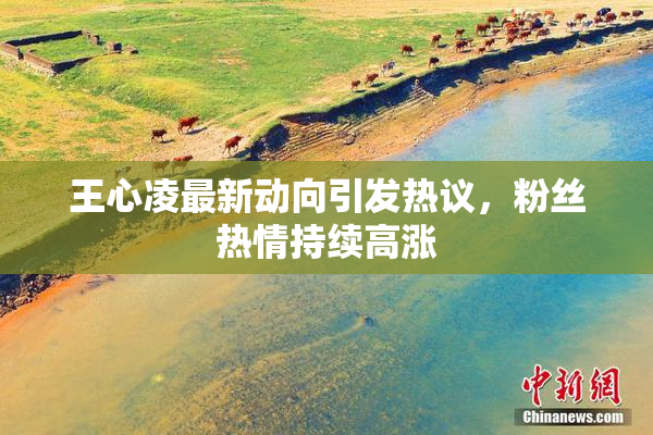 王心凌最新动向引发热议，粉丝热情持续高涨