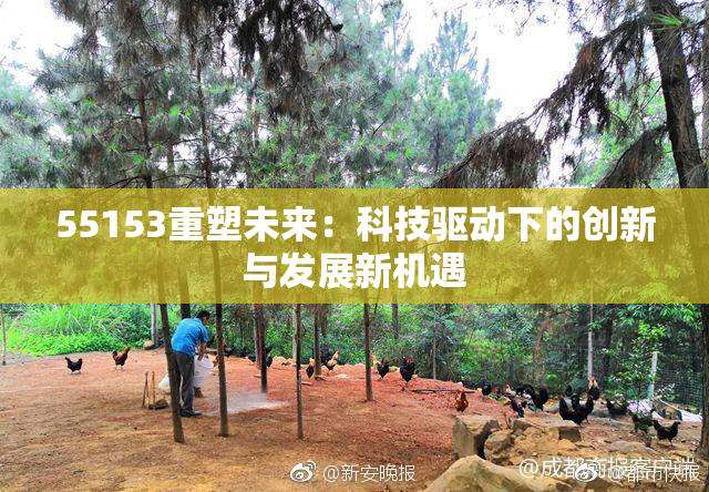 55153重塑未来：科技驱动下的创新与发展新机遇