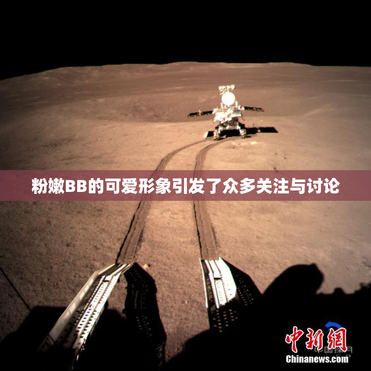 粉嫩BB的可爱形象引发了众多关注与讨论