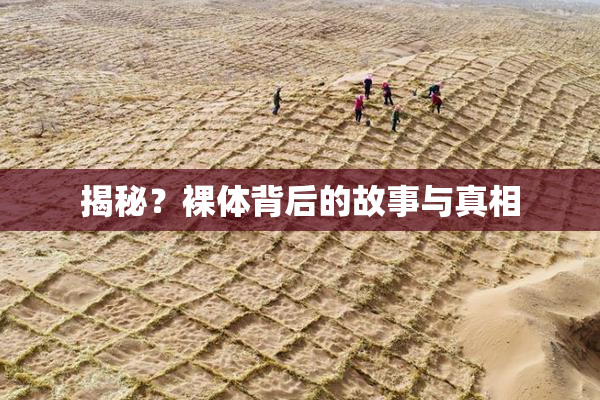 揭秘？裸体背后的故事与真相