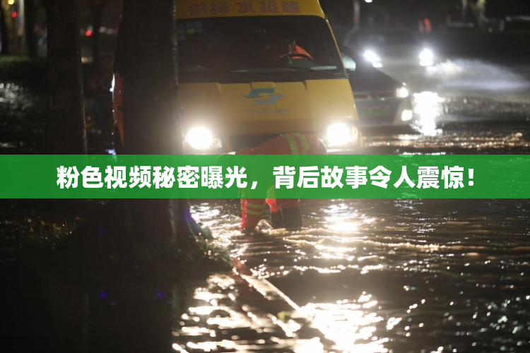 粉色视频秘密曝光，背后故事令人震惊！