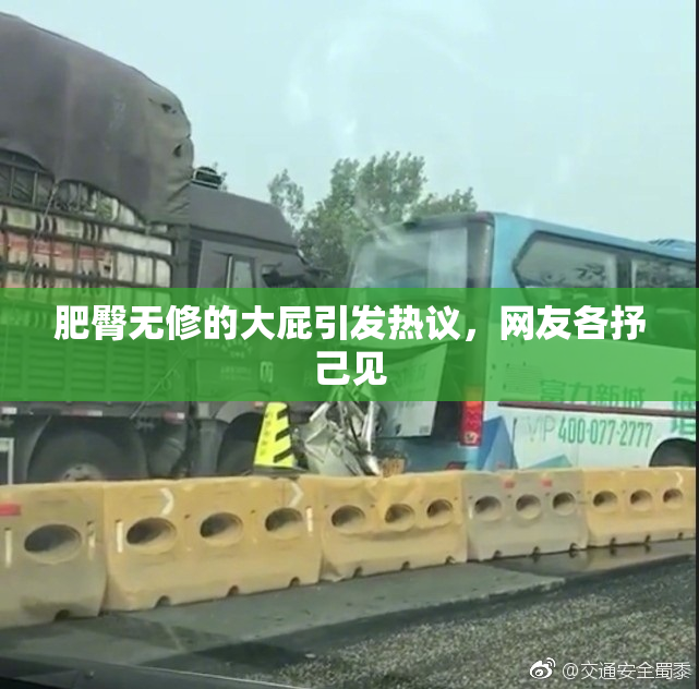 肥臀无修的大屁引发热议，网友各抒己见