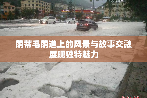 荫蒂毛荫道上的风景与故事交融展现独特魅力