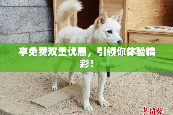 享免费双重优惠，引领你体验精彩！