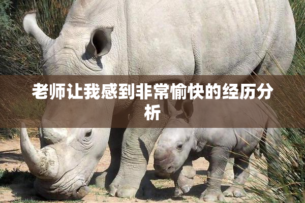 老师让我感到非常愉快的经历分析