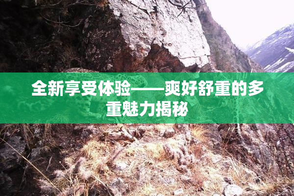 全新享受体验——爽好舒重的多重魅力揭秘