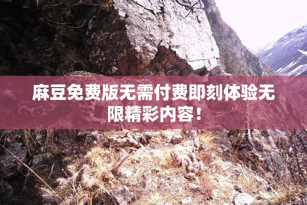 麻豆免费版无需付费即刻体验无限精彩内容！