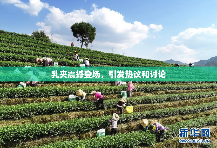 乳夹震撼登场，引发热议和讨论