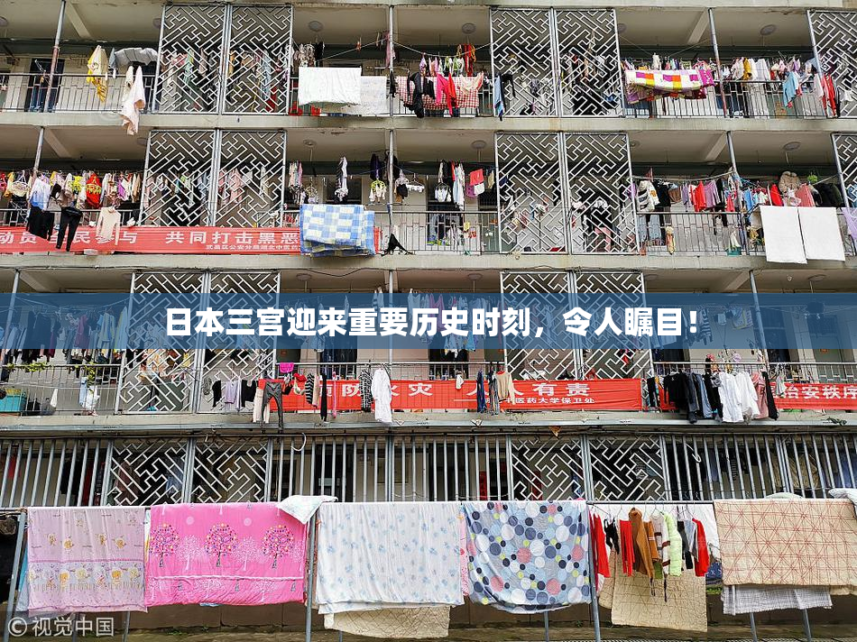 日本三宫迎来重要历史时刻，令人瞩目！