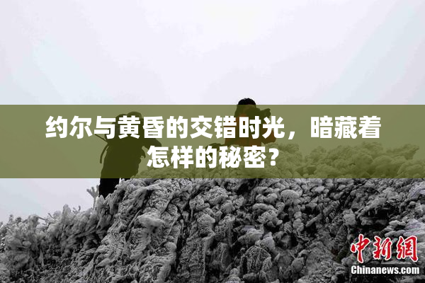 约尔与黄昏的交错时光，暗藏着怎样的秘密？
