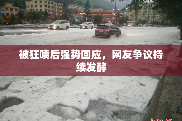 被狂喷后强势回应，网友争议持续发酵