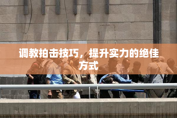 调教拍击技巧，提升实力的绝佳方式